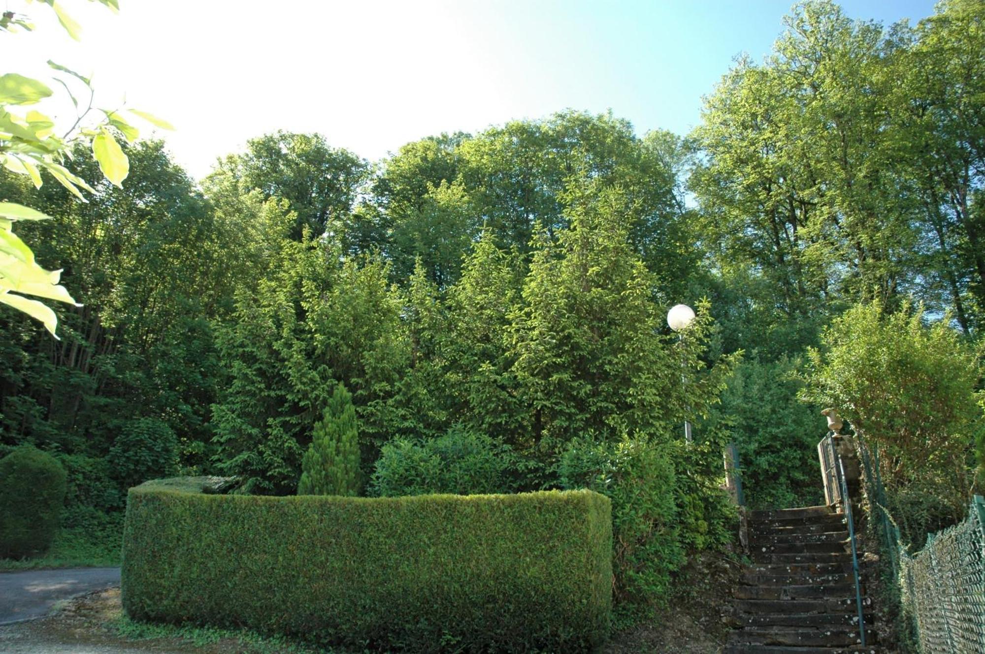 Hôtel et Studios d'Orfeuil Bourbonne-les-Bains Exterior foto